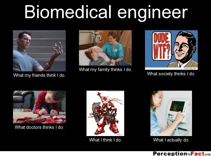 Biomedical Engineer What People Think I Do What I Really Do Perception Vs Fact