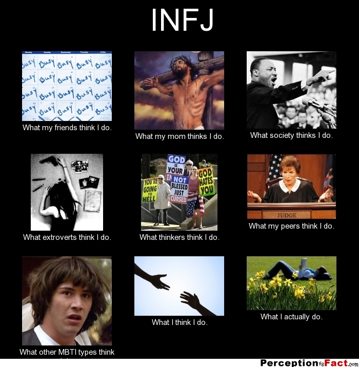 Infj What People Think I Do What I Really Do Perception Vs Fact