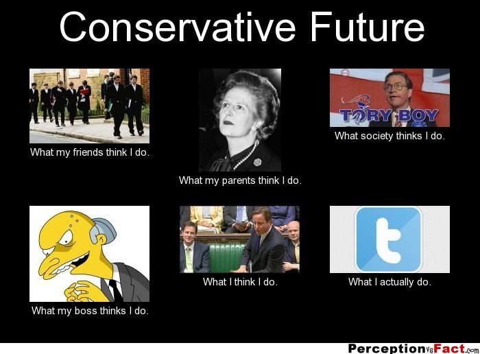 Conservative Future... - What people think I do, what I really do ...