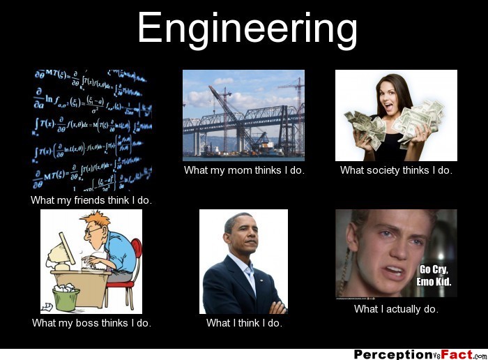 Engineering... - What people think I do, what I really do - Perception ...
