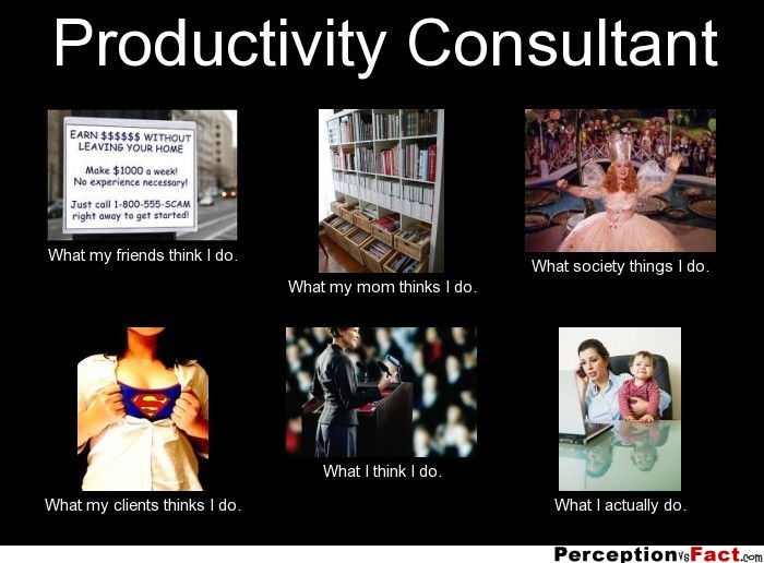 Productivity Consultant What People Think I Do What I Really Do Perception Vs Fact