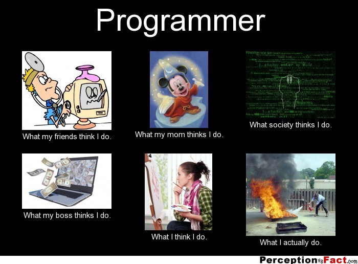 Programmer... - What people think I do, what I really do - Perception ...