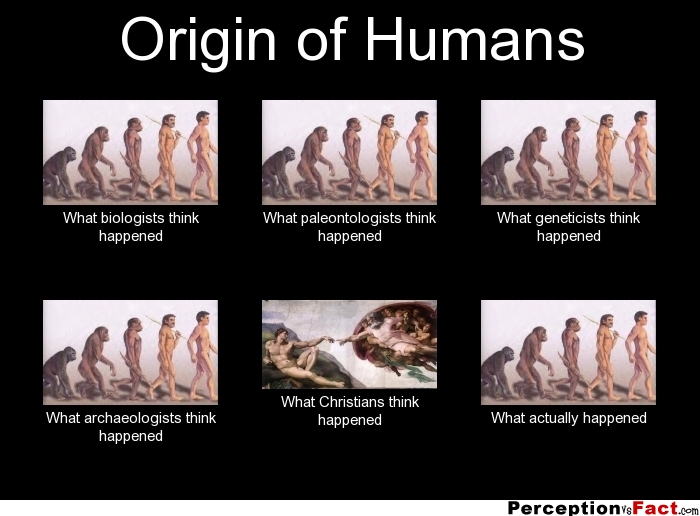 Origin of Humans... What people think I do, what I really do