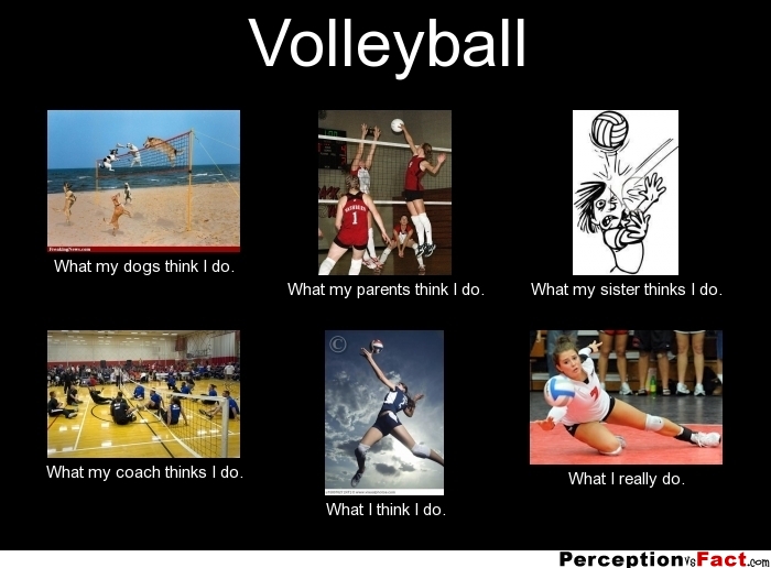 Volleyball What people think I do, what I really do Perception