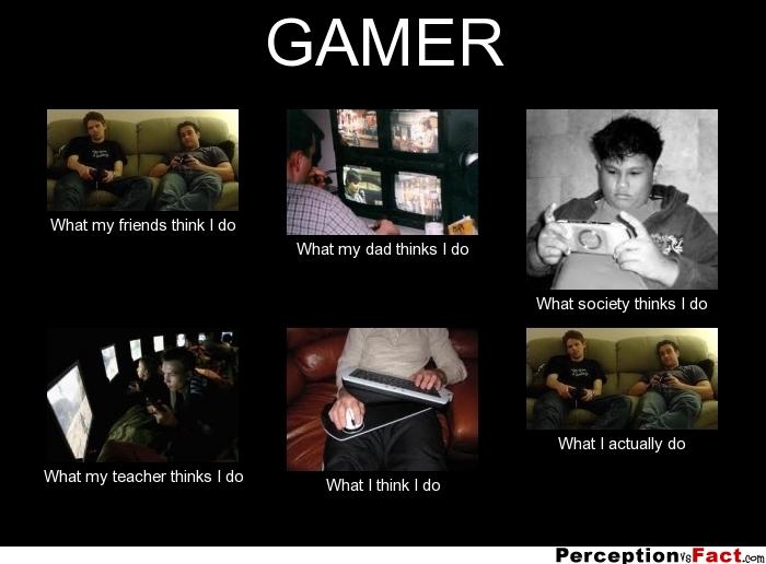 GAMER... - What people think I do, what I really do - Perception Vs Fact