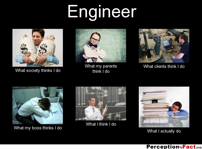 Engineer... - What people think I do, what I really do - Perception Vs Fact