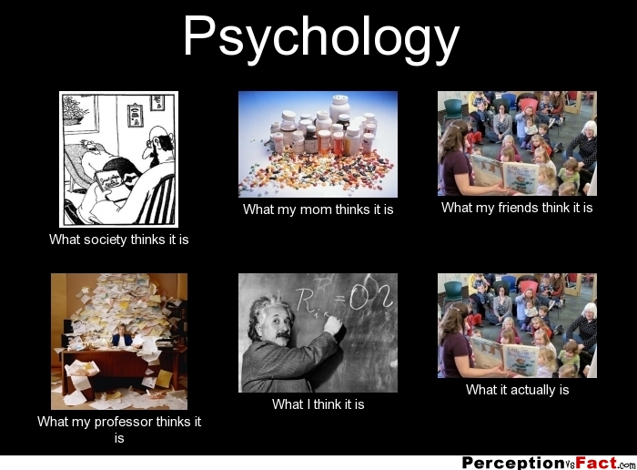 Psychology What People Think I Do What I Really Do Perception Vs Fact